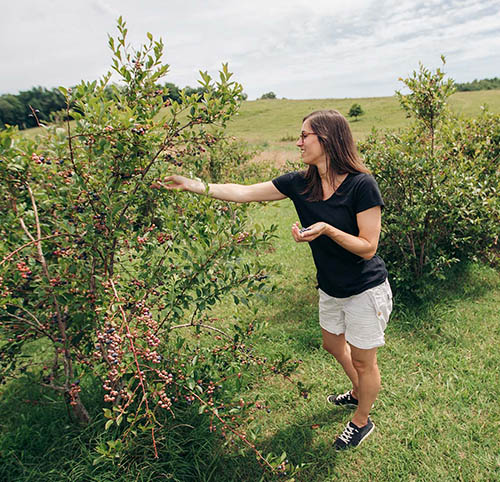 woman berry picking