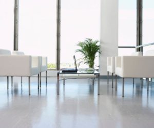 White chairs line a waiting room with a green plant in the middle