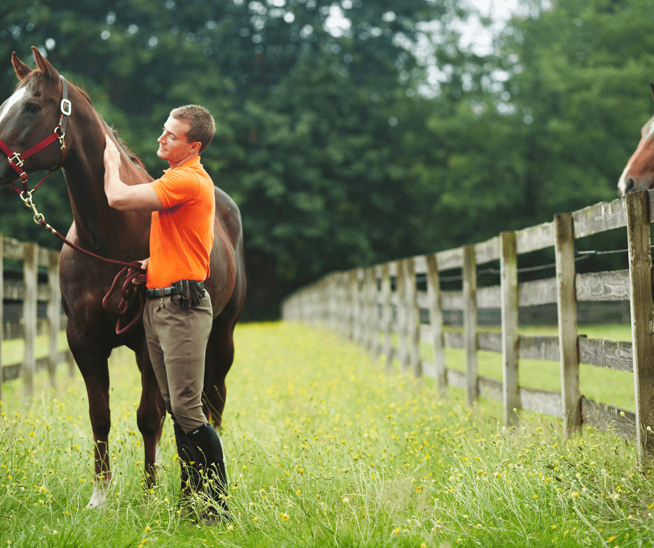 A man in an orange shirt stands in a green grass field petting a horse