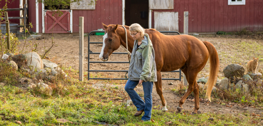 Equine-Assisted Therapy