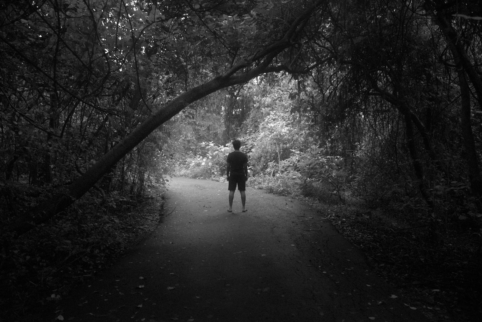 a person walking down a path in the woods thinking about porn and erectile dysfunction