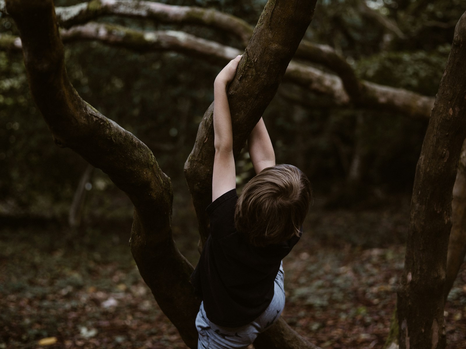 toddler hanging on tree, Signs of emotional trauma in a child