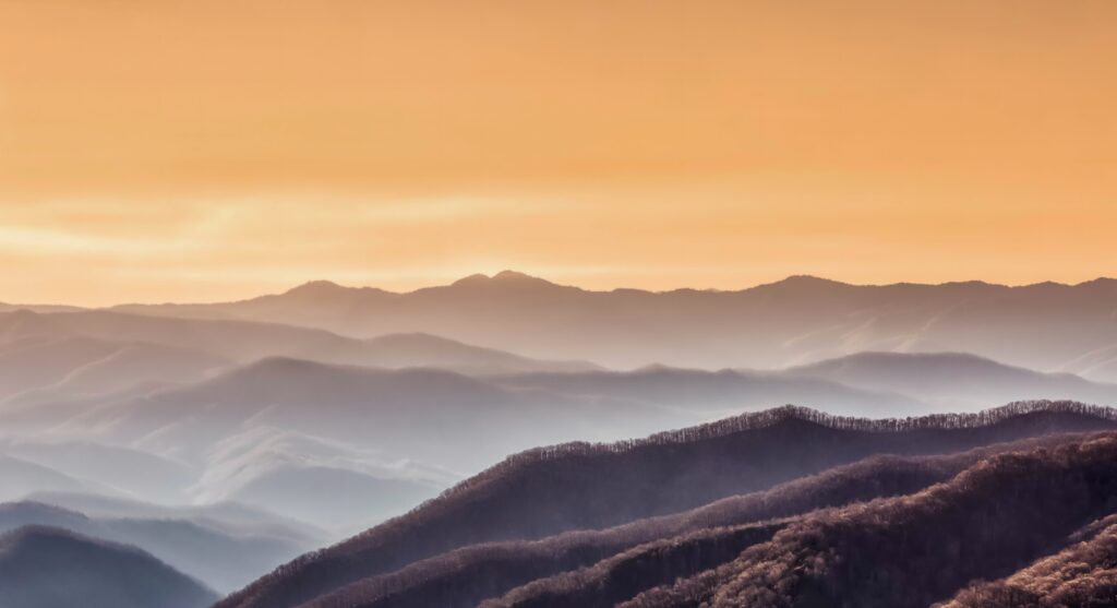 substance abuse treatment tennessee