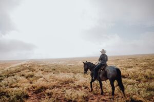 a person riding a horse in a field, respresenting a symbol of mental health stigma
