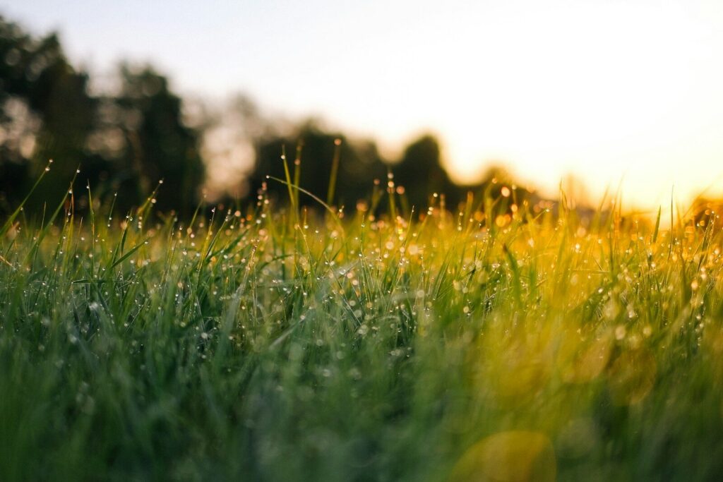 post-acute withdrawal syndrome